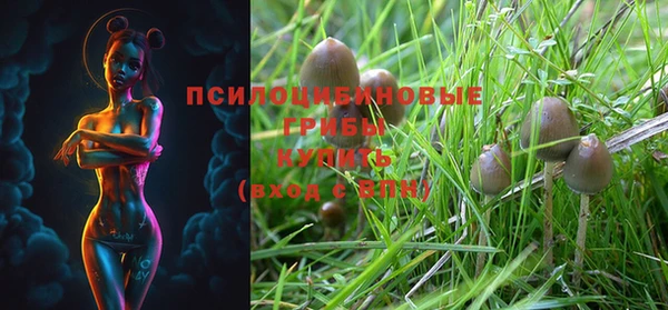прущая мука Алзамай