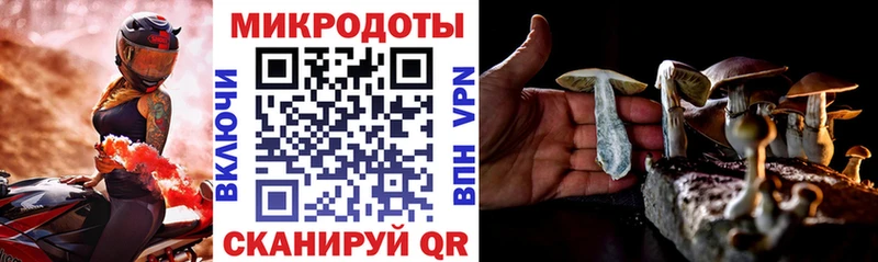 Купить где  Гулькевичи  Псилоцибиновые грибы мицелий 